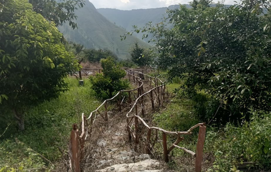 The path to the sacred site is left overgrown / Dion Pardede